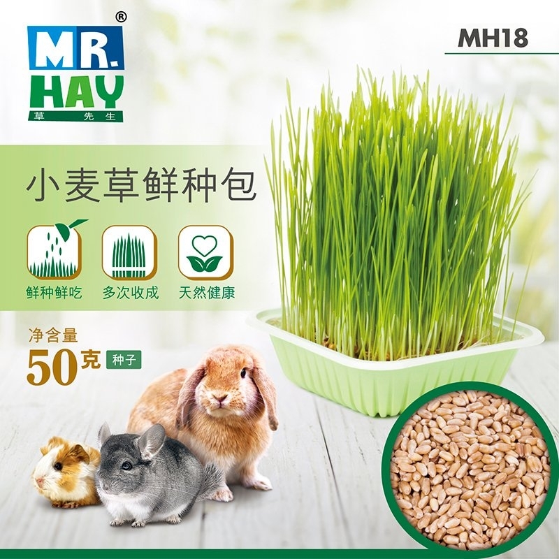 草先生小麥草鮮種包
