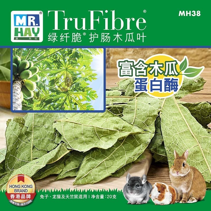 綠纖脆®護腸木瓜葉 20g