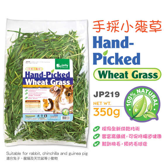 Hand-Picked Wheat Grass